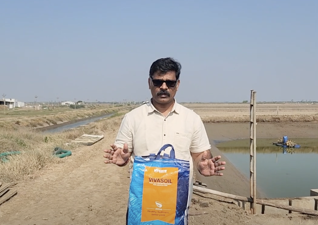 Dr Manoj M Sharma Cultivo de camarón: VIVASOIL, un producto todo en uno para el cultivo de camarón